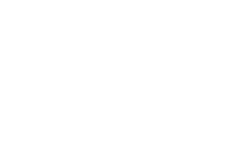 De Paula Damião
